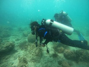 Protect Danajon Project Supports Comprehensive Underwater Biophysical Assessment in Carlos P. Garcia, Bohol